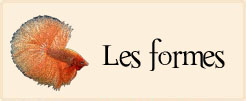 Les Formes
